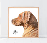 Custom Handmade Pet Portrait Drawing