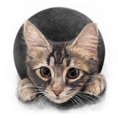 Custom Handmade Pet Portrait Drawing