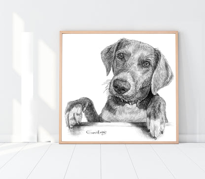 Custom Handmade Black & White Pet Portrait Drawing