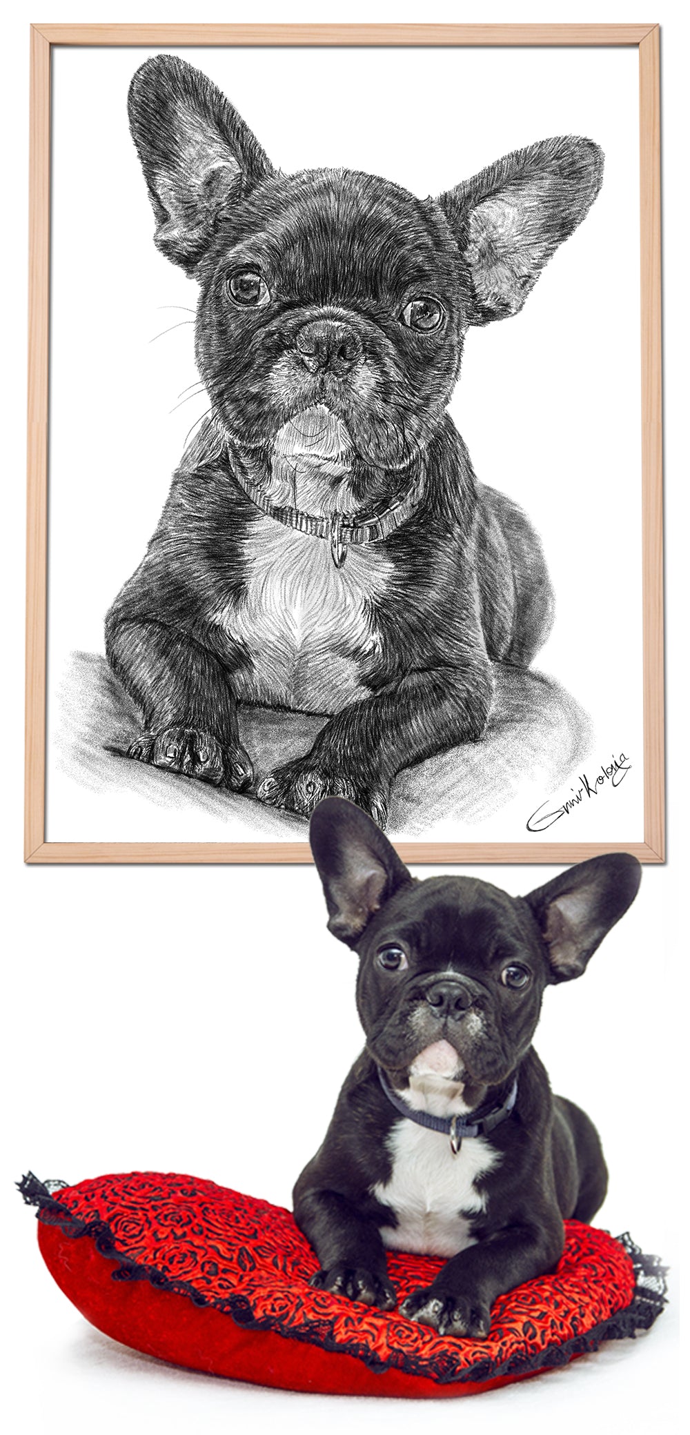 Custom Handmade Black & White Pet Portrait Drawing