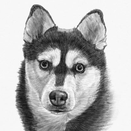 Custom Handmade Black & White Pet Portrait Drawing