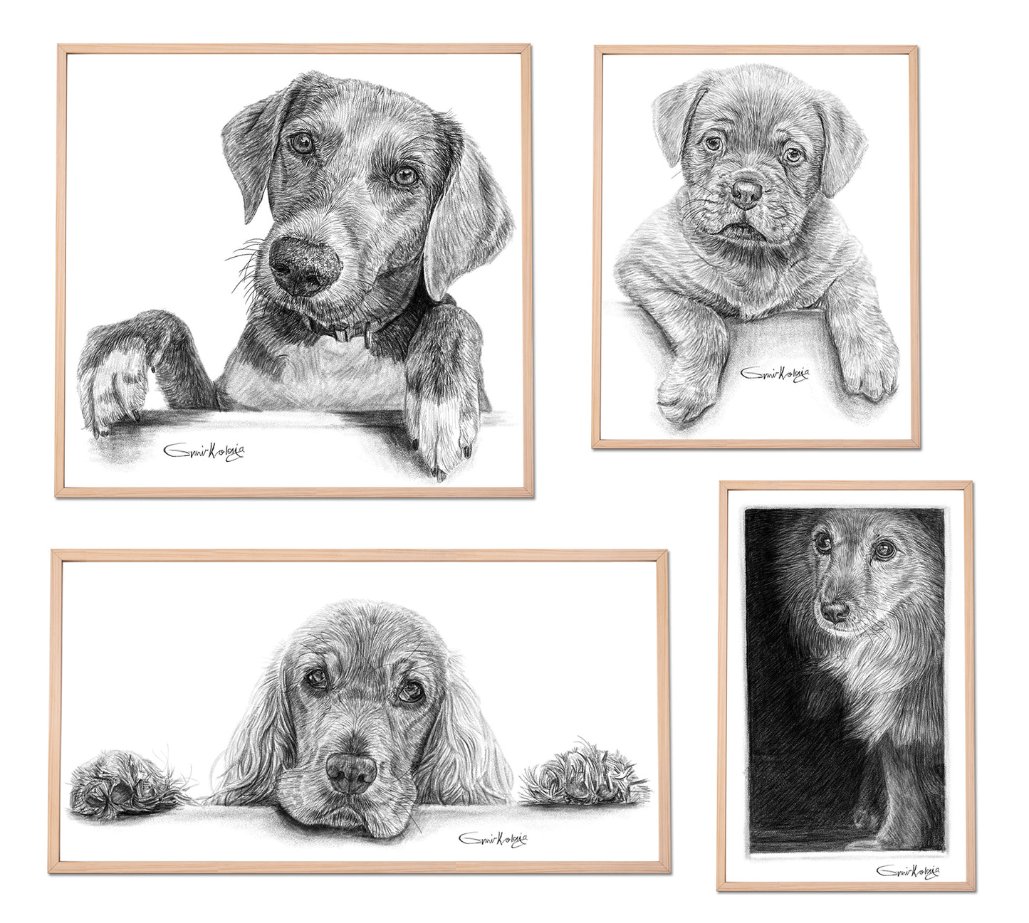Custom Handmade Black & White Pet Portrait Drawing