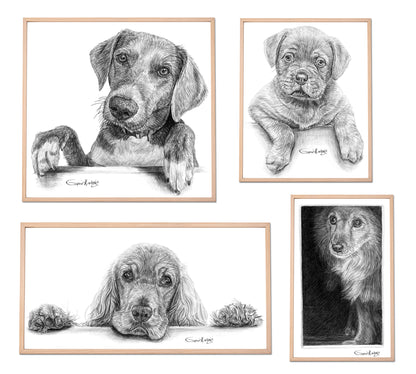 Custom Handmade Black & White Pet Portrait Drawing