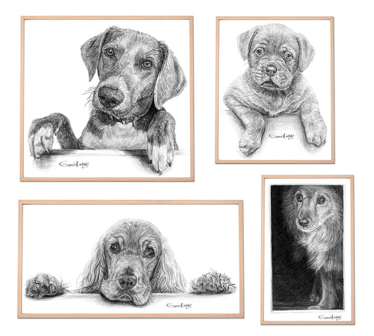 Custom Handmade Black & White Pet Portrait Drawing