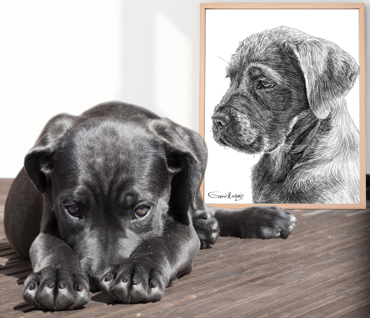 Custom Handmade Black & White Pet Portrait Drawing